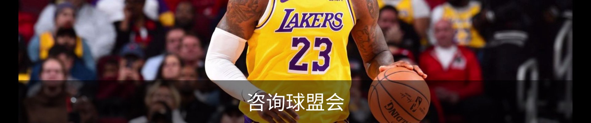 咨询球盟会